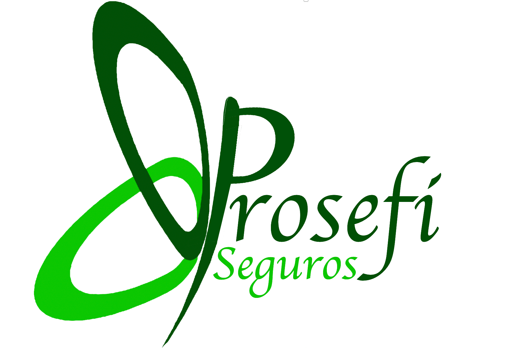 Prosefi Seguros